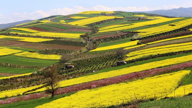 مازندران
