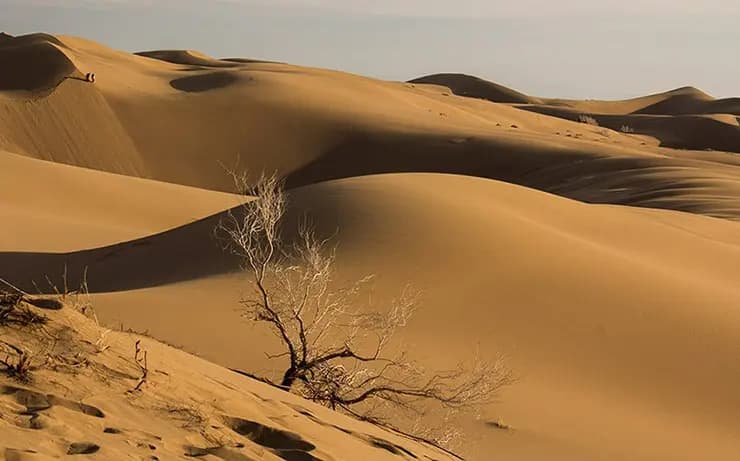 کویر مصر؛ شبهای پرستاره در دل شنها